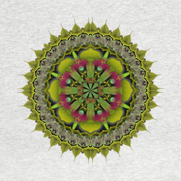 Mandala Magic - Daily Focus 3.31.2016 A1 by Mandala Magic